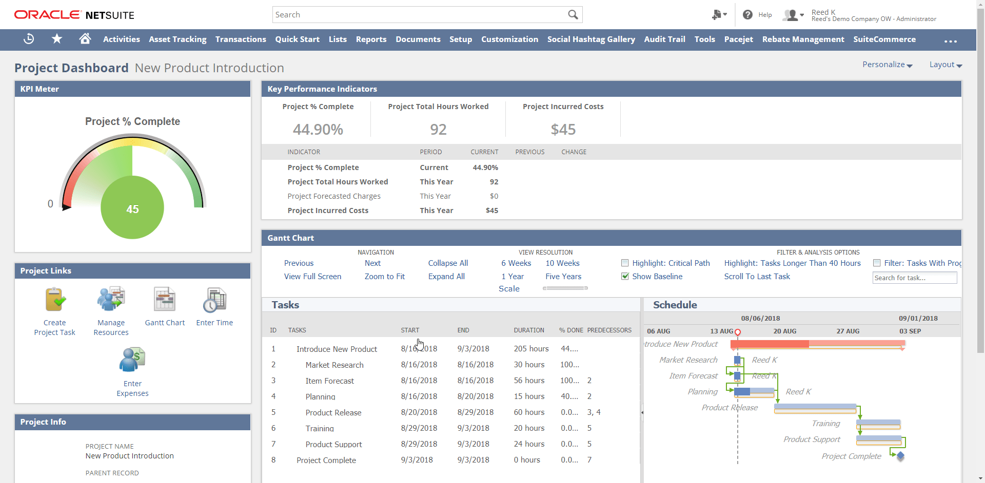 Project Dashboard NetSuite