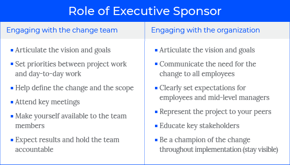 Role of Executive Sponsor